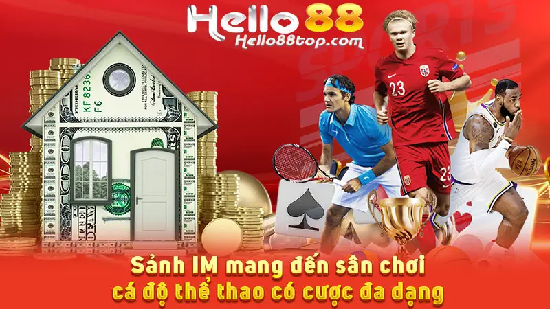Sảnh IM mang đến sân chơi cá độ thể thao có cược đa dạng