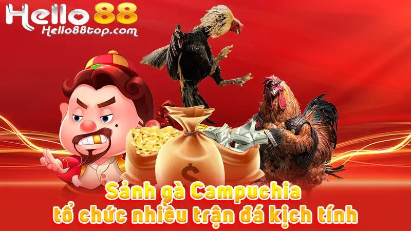 Sảnh gà Campuchia tổ chức nhiều trận đá kịch tính