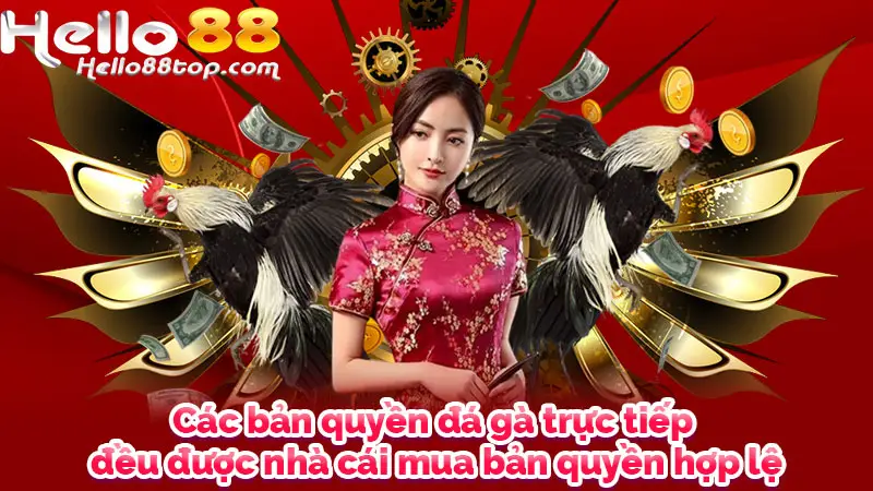 Các bản quyền đá gà trực tiếp đều được nhà cái mua bản quyền hợp lệ