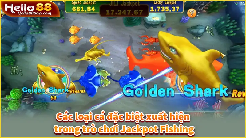 Các loại cá đặc biệt xuất hiện trong trò chơi Jackpot Fishing