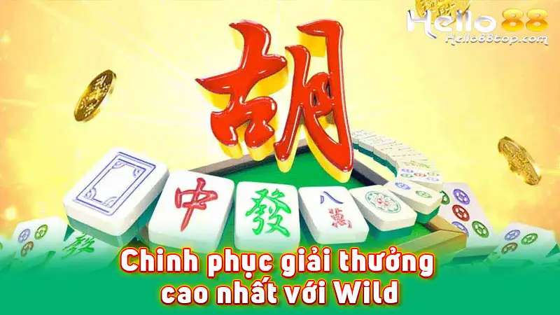 Chinh phục giải thưởng cao nhất với Wild