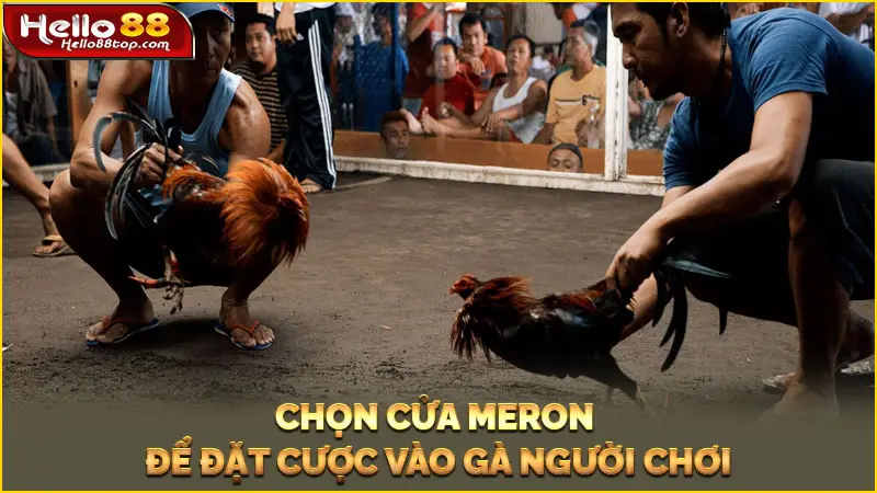 Chọn cửa Meron để đặt cược vào gà người chơi
