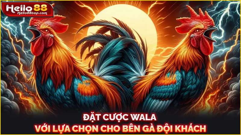 Đặt cược Wala với lựa chọn cho bên gà đội khách