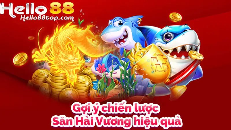 Gợi ý chiến lược Săn Hải Vương hiệu quả