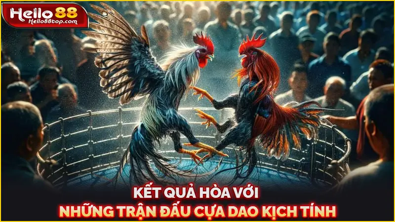 Kết quả hòa với những trận đấu cựa dao kịch tính