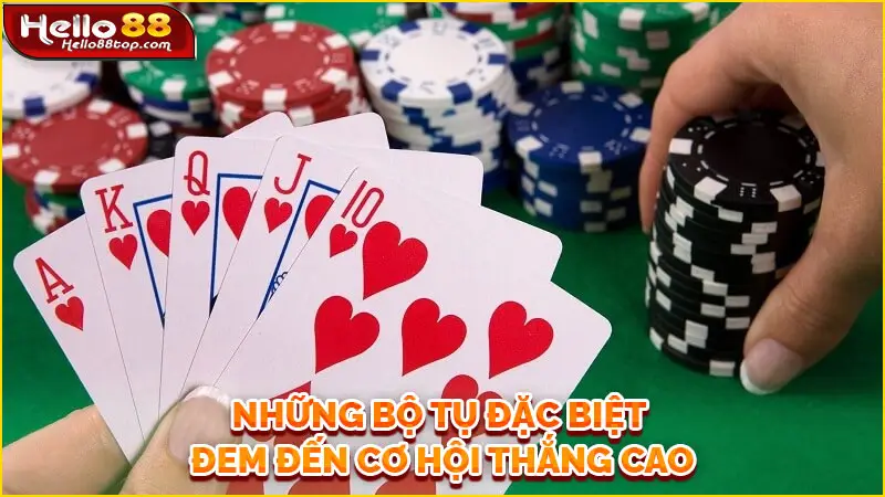 Những bộ tụ đặc biệt đem đến cơ hội thắng cao