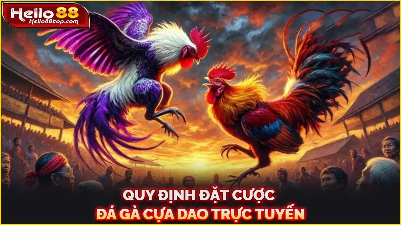 Quy định đặt cược đá gà cựa dao trực tuyến