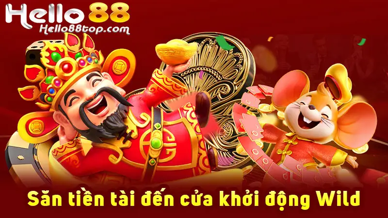 Săn tiền tài đến cửa khởi động Wild