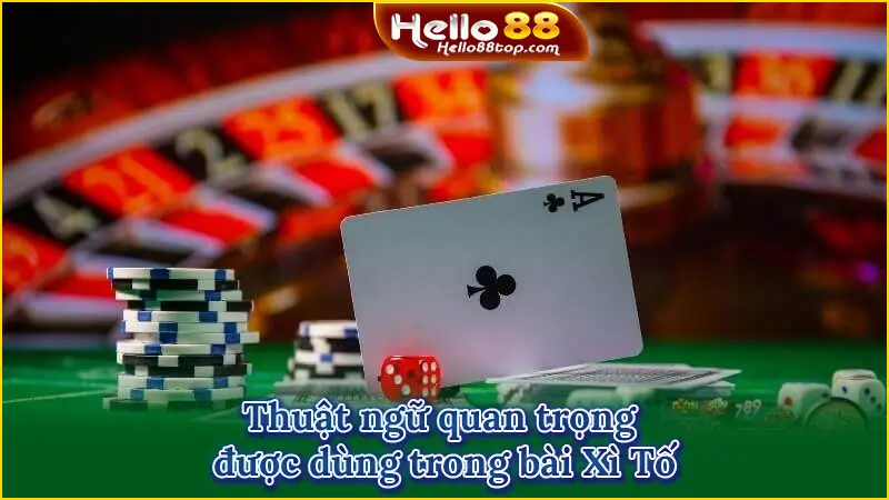 Thuật ngữ quan trọng được dùng trong bài Xì Tố